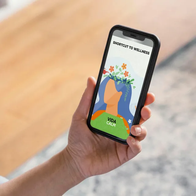 VidaCalm digital wellness guide displayed on a smartphone