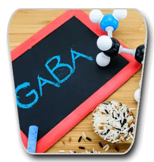 GABA written on a chalkboard beside a molecular model